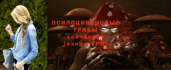 гидра Остров