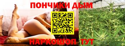 дмт Камышлов