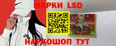 дмт Камышлов