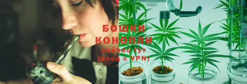 дарнет шоп  Киров  Конопля SATIVA & INDICA 